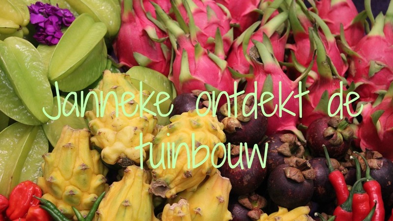 Janneke ontdekt de tuinbouw: “Waarom investeren Nederlandse bedrijven in de Fruit Logistica?”