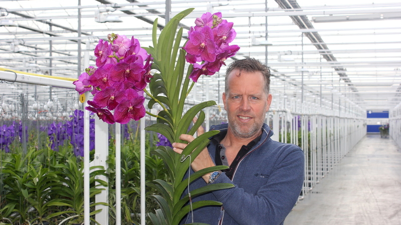 Primeur: Kweker van exclusieve oerwoud orchidee geeft kleur aan Kom in de Kas #JODT