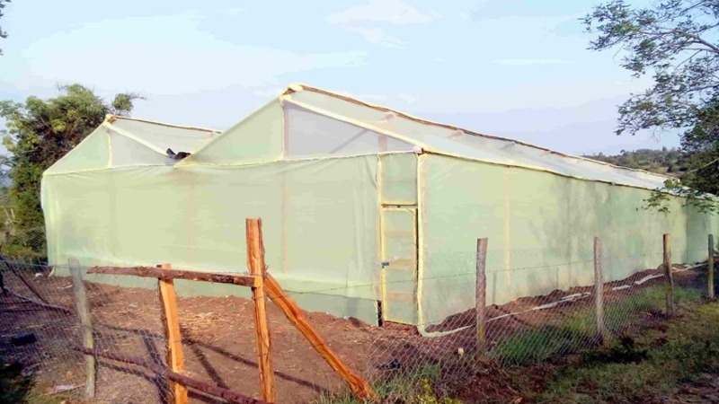 Keniaanse Agri-tech Startup wint Seedstars Nairobi